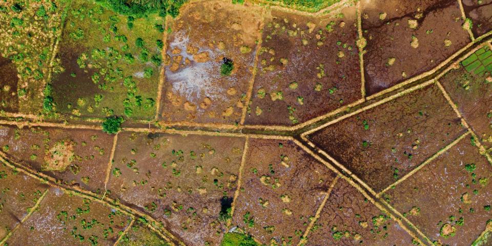 Aerial photograph of land field